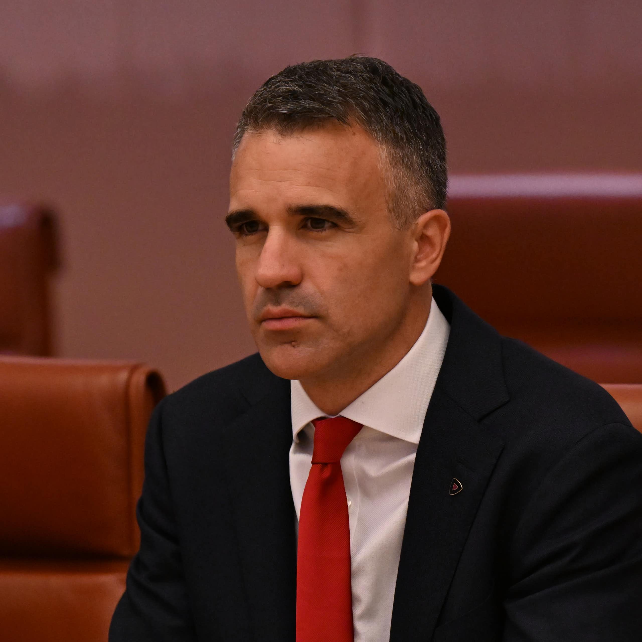 Politics with Michelle Grattan: Peter Malinauskas on political donations, kids on social media, and the nuclear option