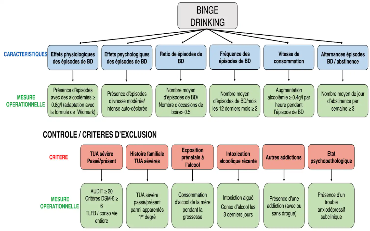 Binge File Alcool : c’est quoi le binge drinking ? comment savoir si on est concerné