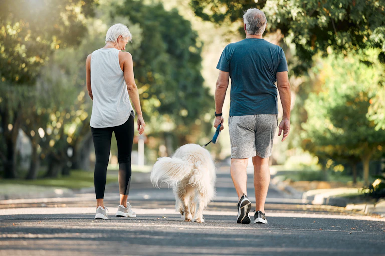 A couple walking a dog in a park.