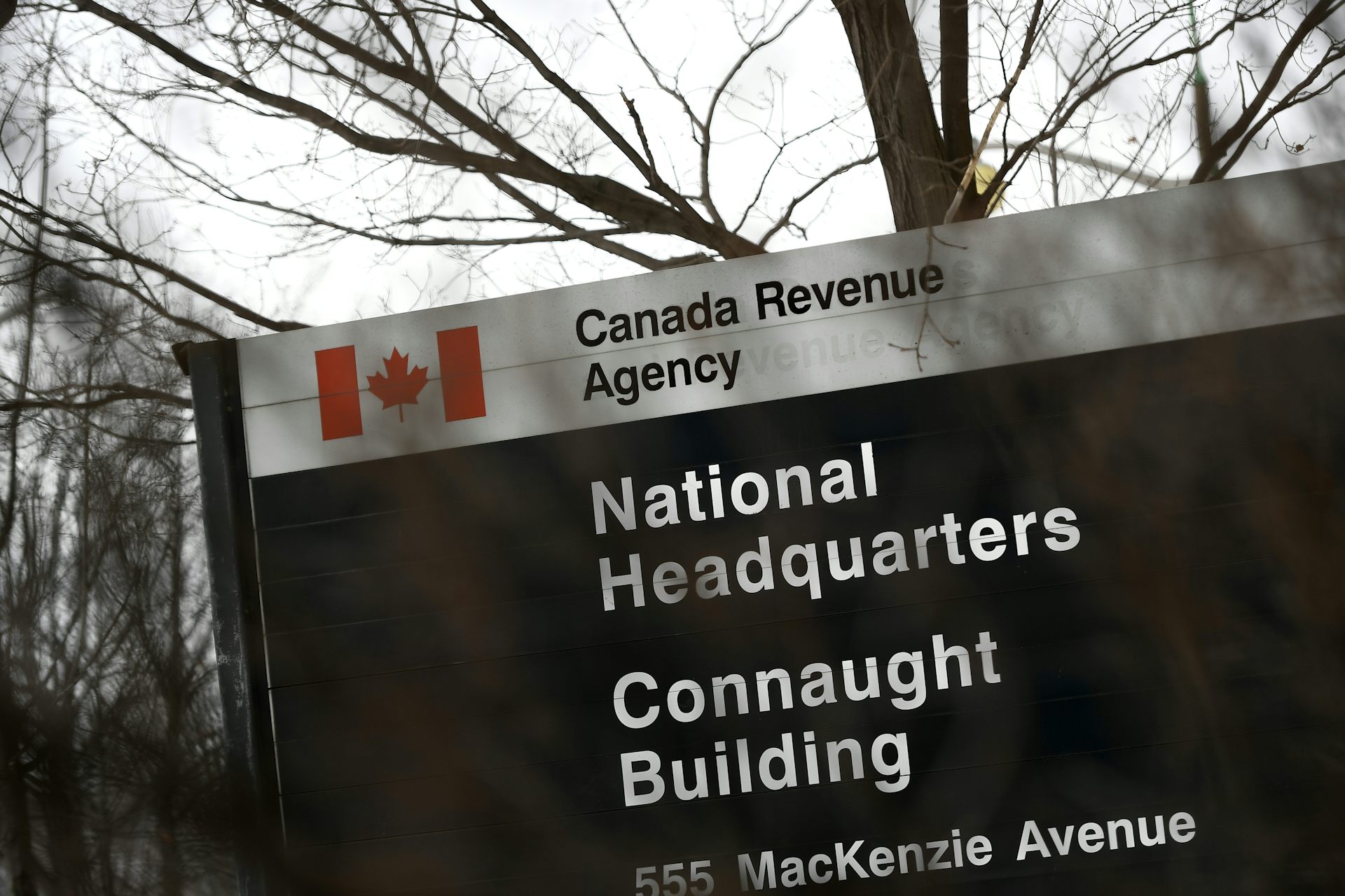 The ‘tax-free trap’: How a simple phrase skews Canadians’ savings choices