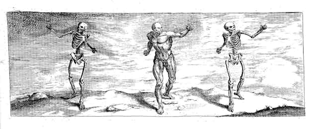 an illustration of a the musculature of a man in mid-pose, flanked by two skeletons