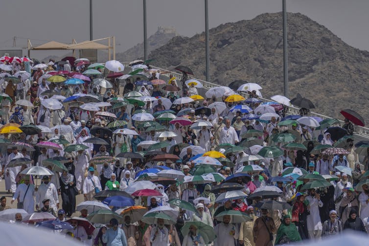 Amid scorching heat, 900 people died this week in Saudi Arabia. Climate change has made the Hajj pilgrimage more risky 3 Muslim pilgrims use umbrellas to shield themselves from the sun