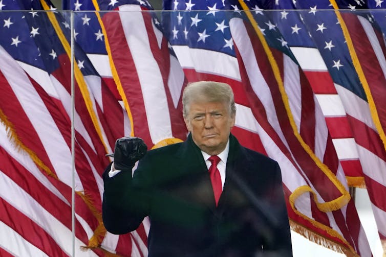 A man in a dark coat and red tie raises his fist against a backdrop of numerous US flags.