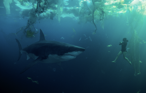 A huge shark terrorises people in new French hit Under Paris. When will we stop villainising these animals?
