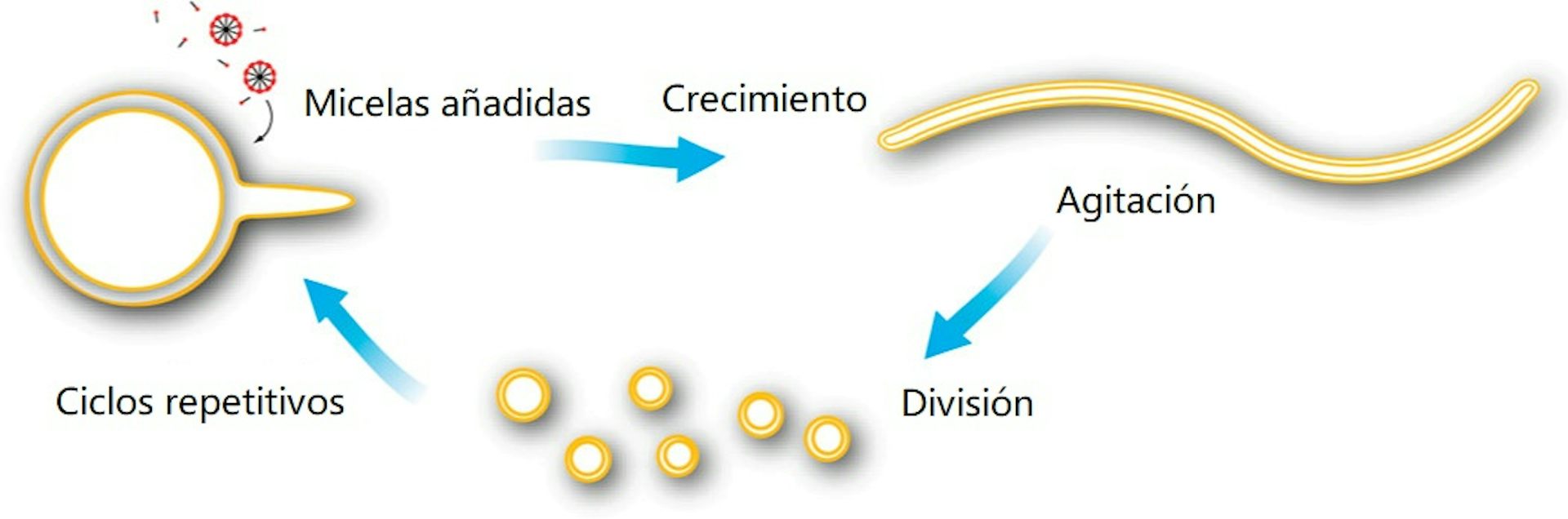 Hallazgo en el paso previo al origen de la primera célula