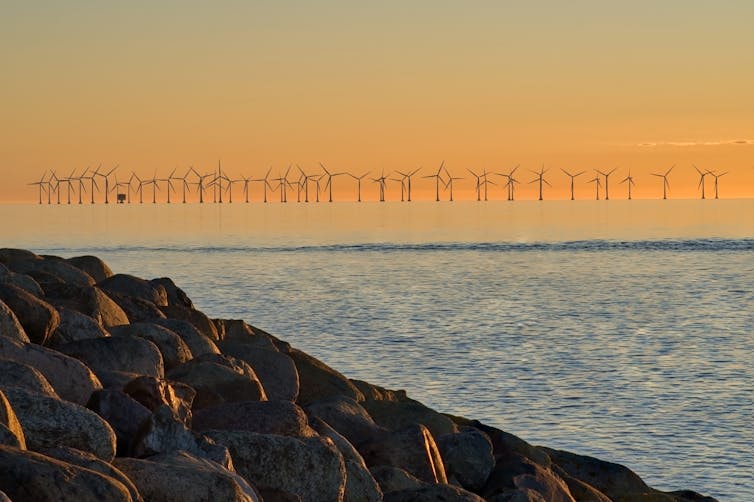An offshore wind farm seen from the shore at dusk.