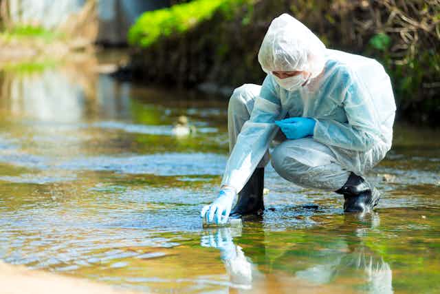 Scientist in PPE kneels down in river to collect water sample