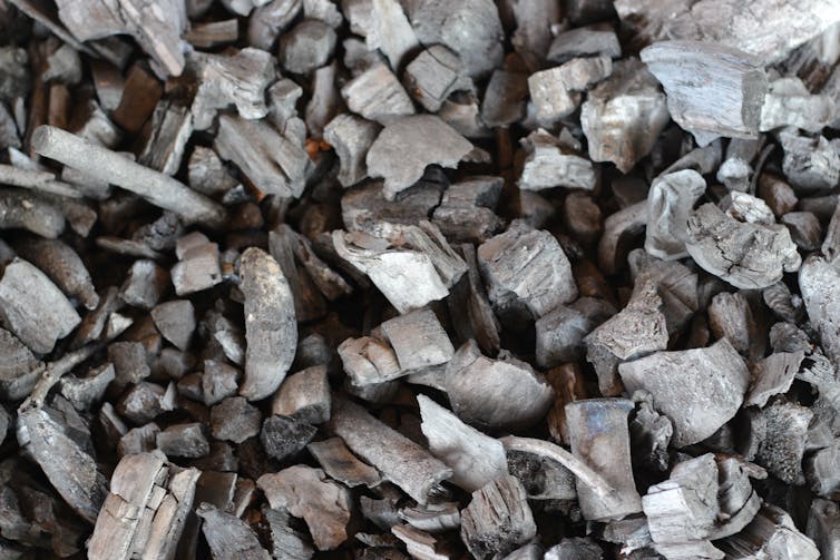 Close-up of a charcoal-like grey substance