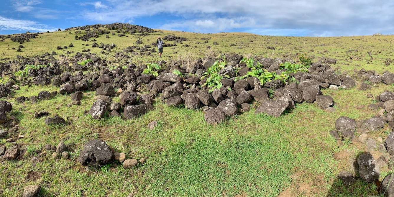 Rocks on Rapa Nui tell the story of a small, resilient population − countering the notion of a doomed overpopulated island