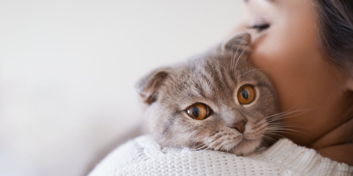 Why cats meow at humans more than each other