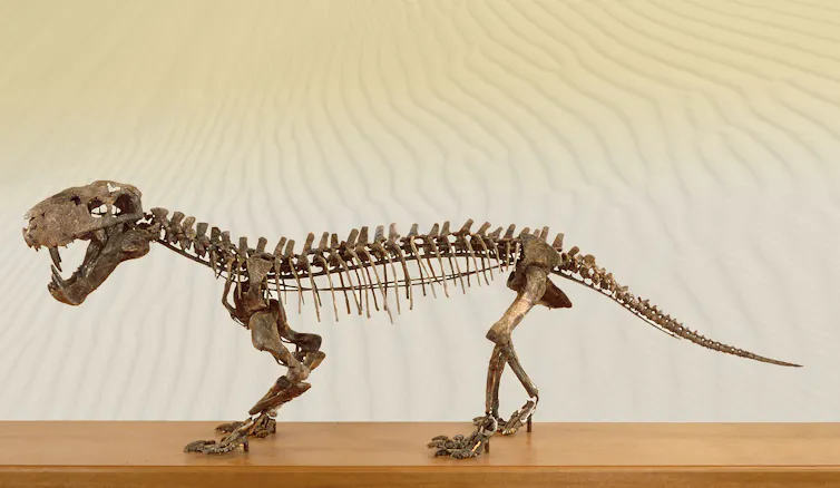 Fossil skeleton