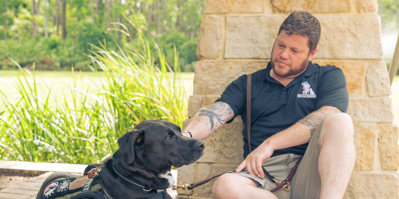 Service dogs can reduce the severity of PTSD for veterans – new research
