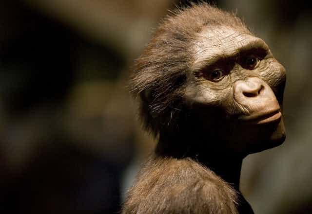 Cabeça esculpida de uma criatura semelhante a um macaco com a cabeça inclinada para o lado, olhando para a distância.