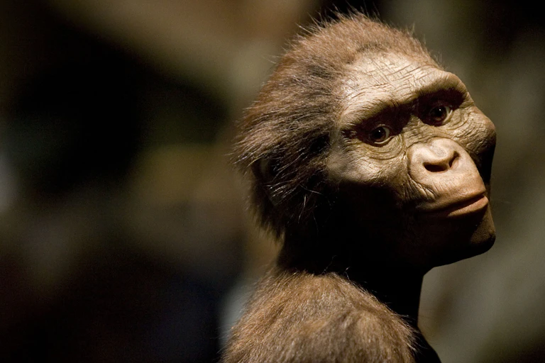 Cabeça esculpida de uma criatura semelhante a um macaco com a cabeça inclinada para o lado, olhando para a distância.