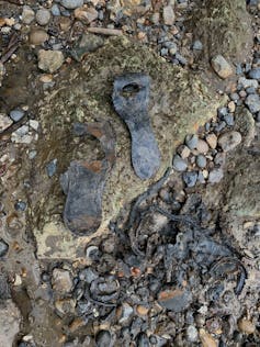 Shoe in river bed.