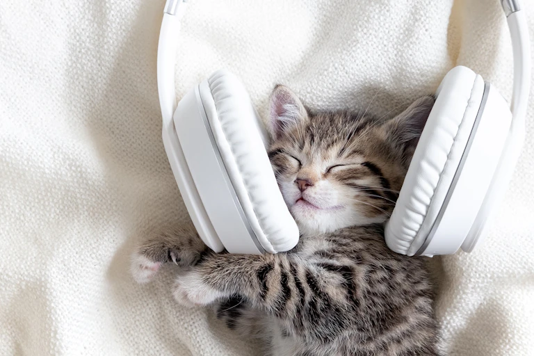 Un gato sonríe con unos auriculares puestos.