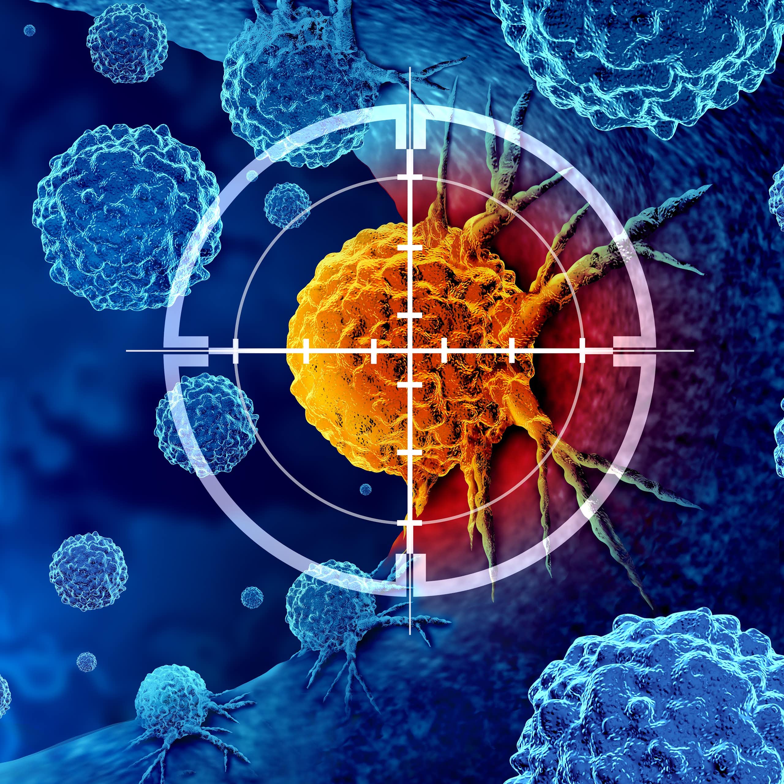 Descubriendo el ejército invisible: el papel del sistema inmunitario en la lucha contra el cáncer