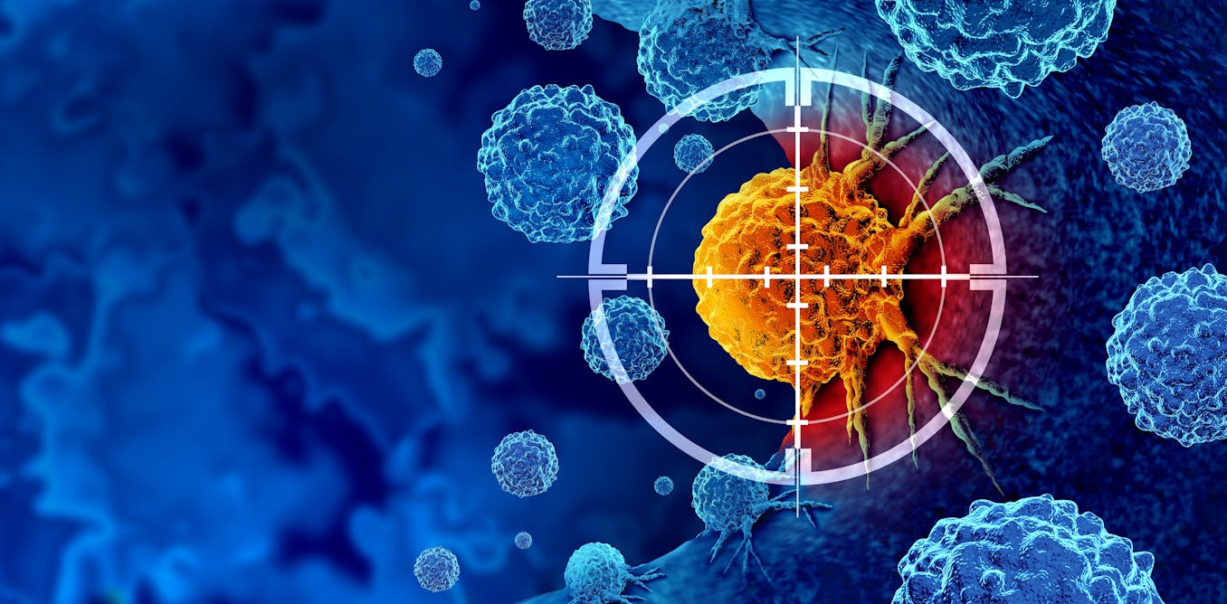 Descubriendo el ejército invisible: el papel del sistema inmunitario en la lucha contra el cáncer