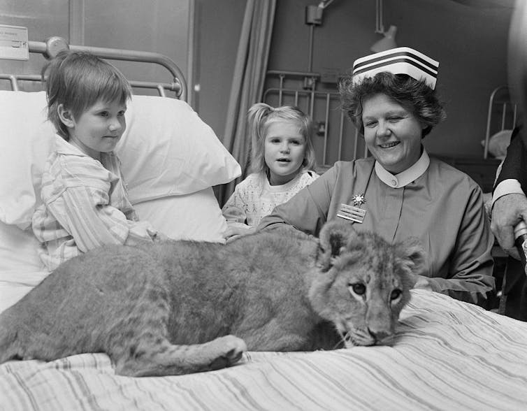 Fotografía en blanco y negro de una enfermera, un paciente joven en la cama y una niña parada junto a la cama.  Un cachorro de tigre yace en la cama.