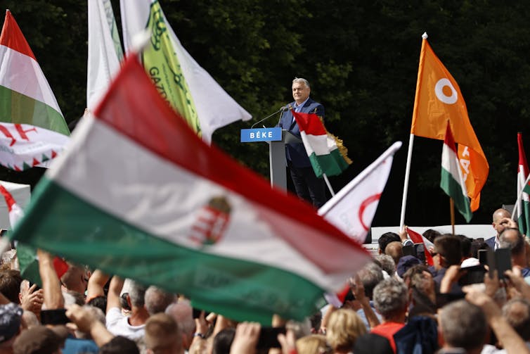 People fly flags that are red, white and green striped, while a man stands at the podium in the distance in front of the crowd.