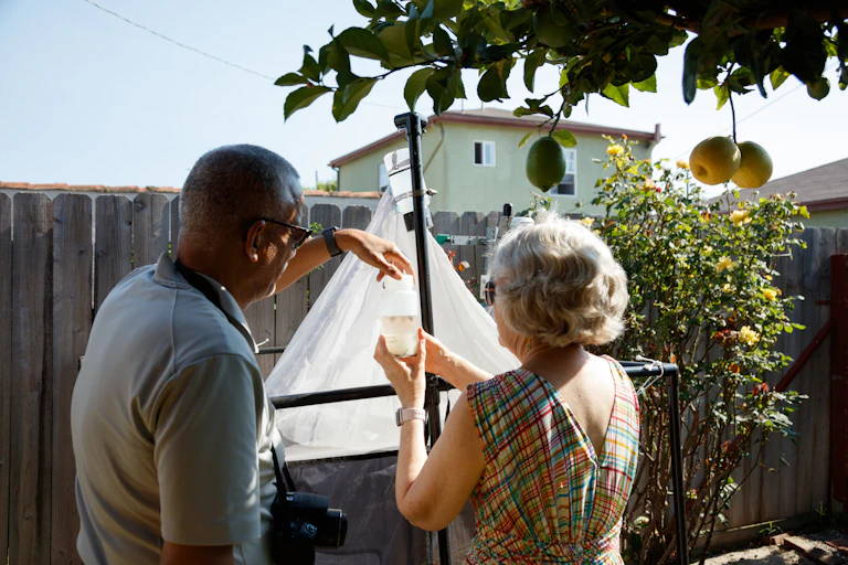 A man and a woman in a backyard inspecting a bottle containing insect. A tent-like trap is behind them.