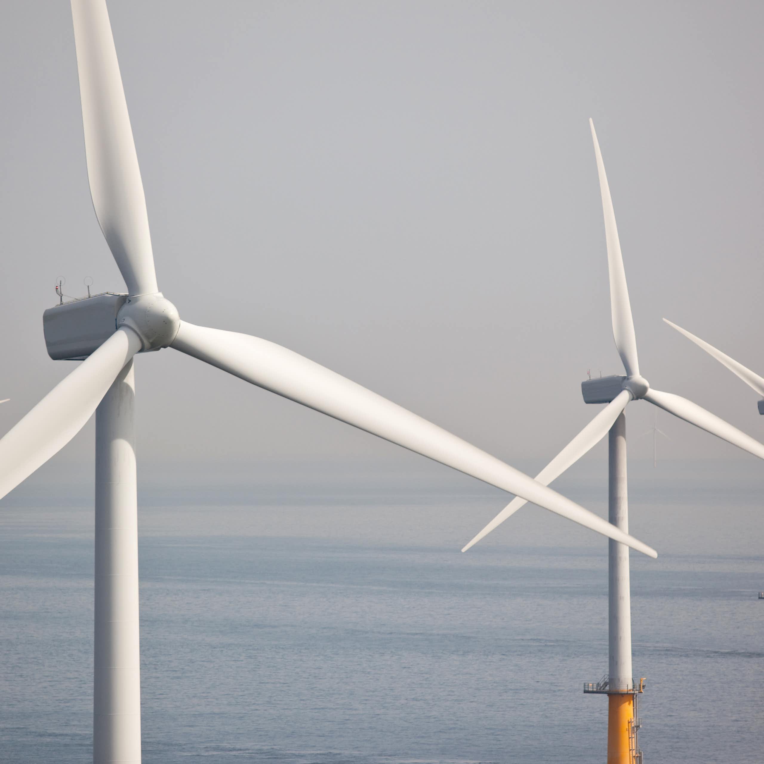 wind farm at sea