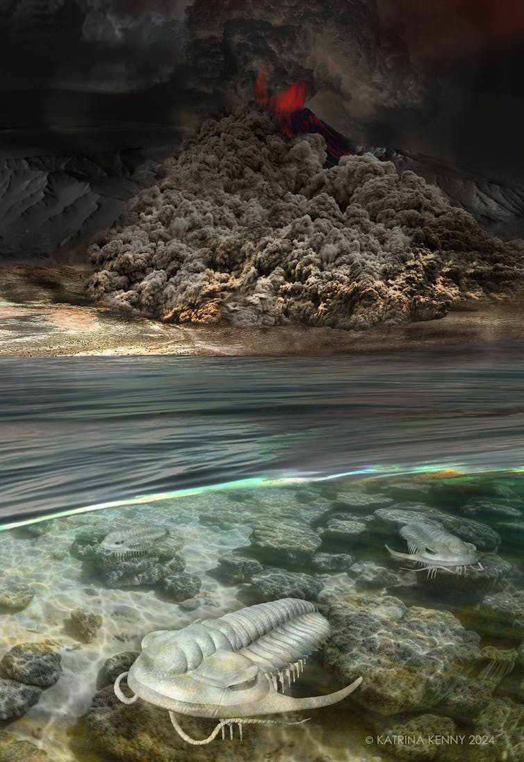 Ilustração de trilobitas em águas rasas com uma erupção vulcânica iminente ao fundo.