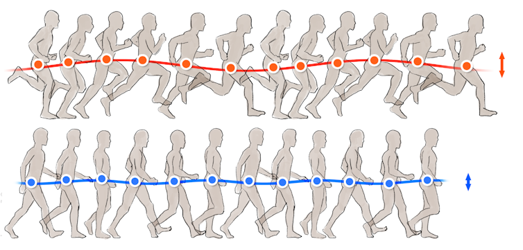 Illustration des oscillations de la course et la marche