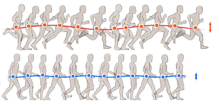 Illustration of the oscillations of running and walking