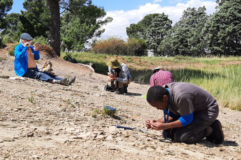 A group of four people on their knees near a stand of trees, peering at the ground