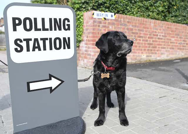 A dog next to a sign for a polling station.