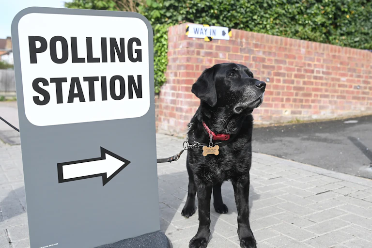 A dog next to a sign for a polling station.