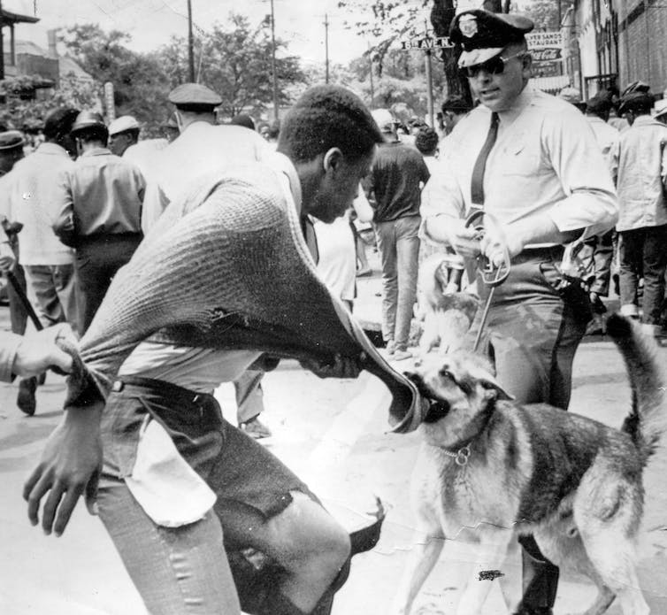 A dog held on a leash by a white police officers attacks a Black man.