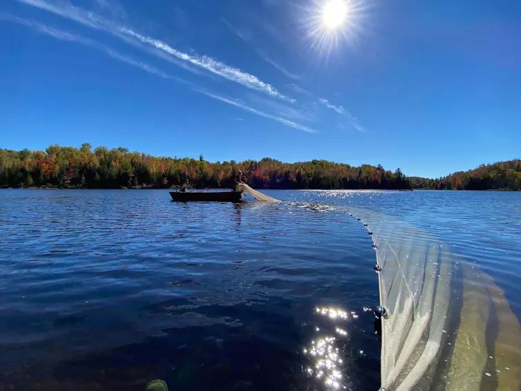 A person on a boat sets a net in a body of water
