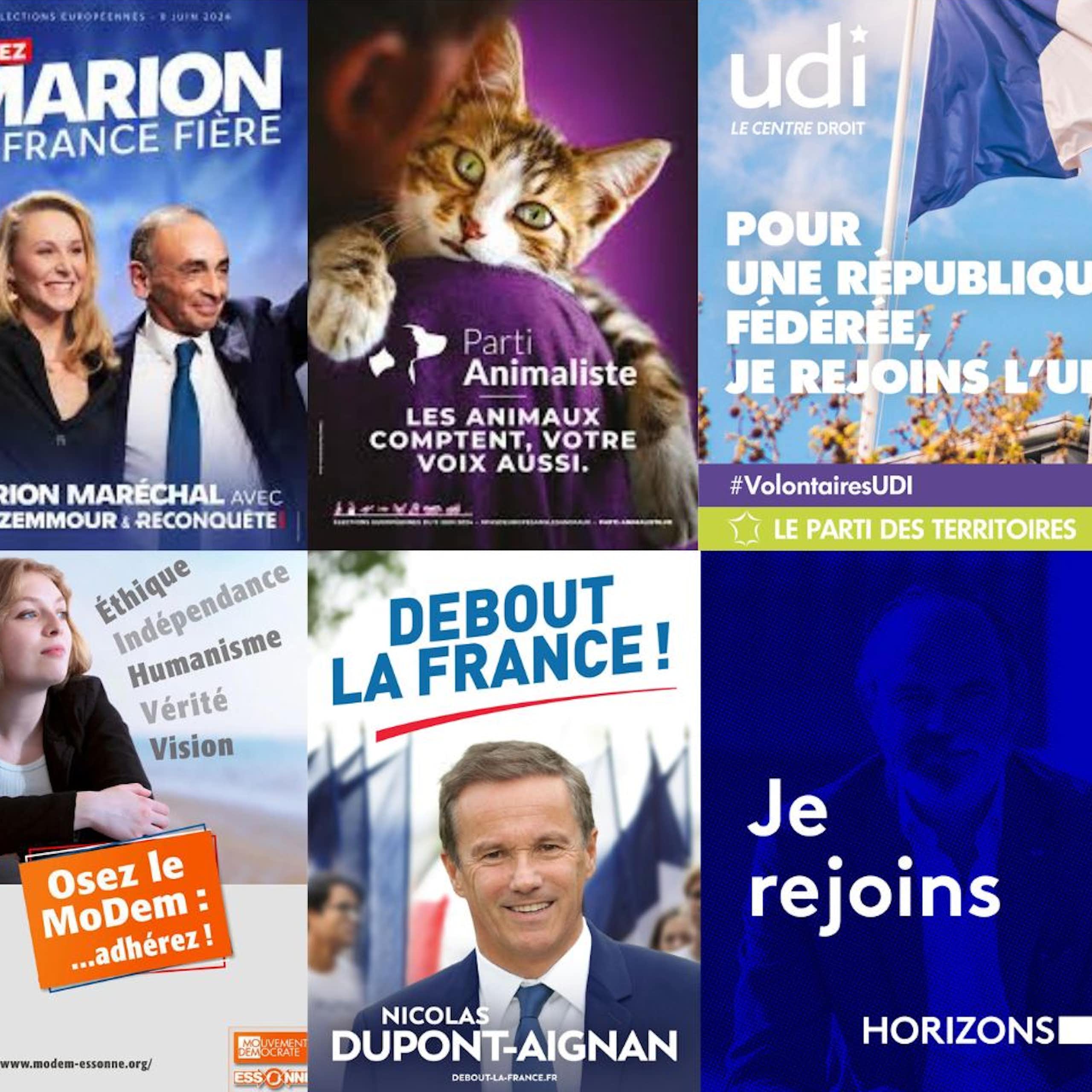 Affiches des différents petits partis politiques français.