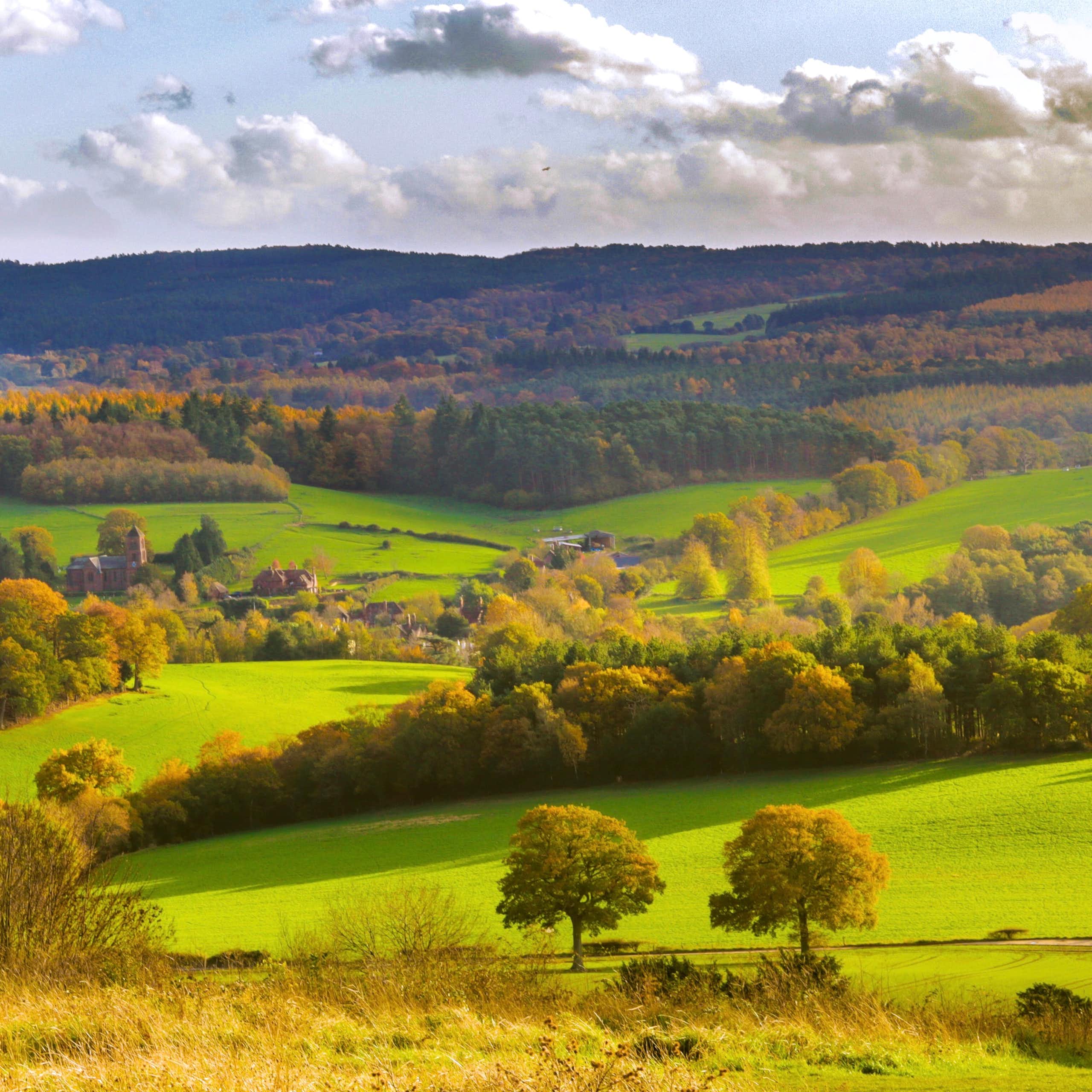 countryside hills, autumn trees and green hills, cloudy sky