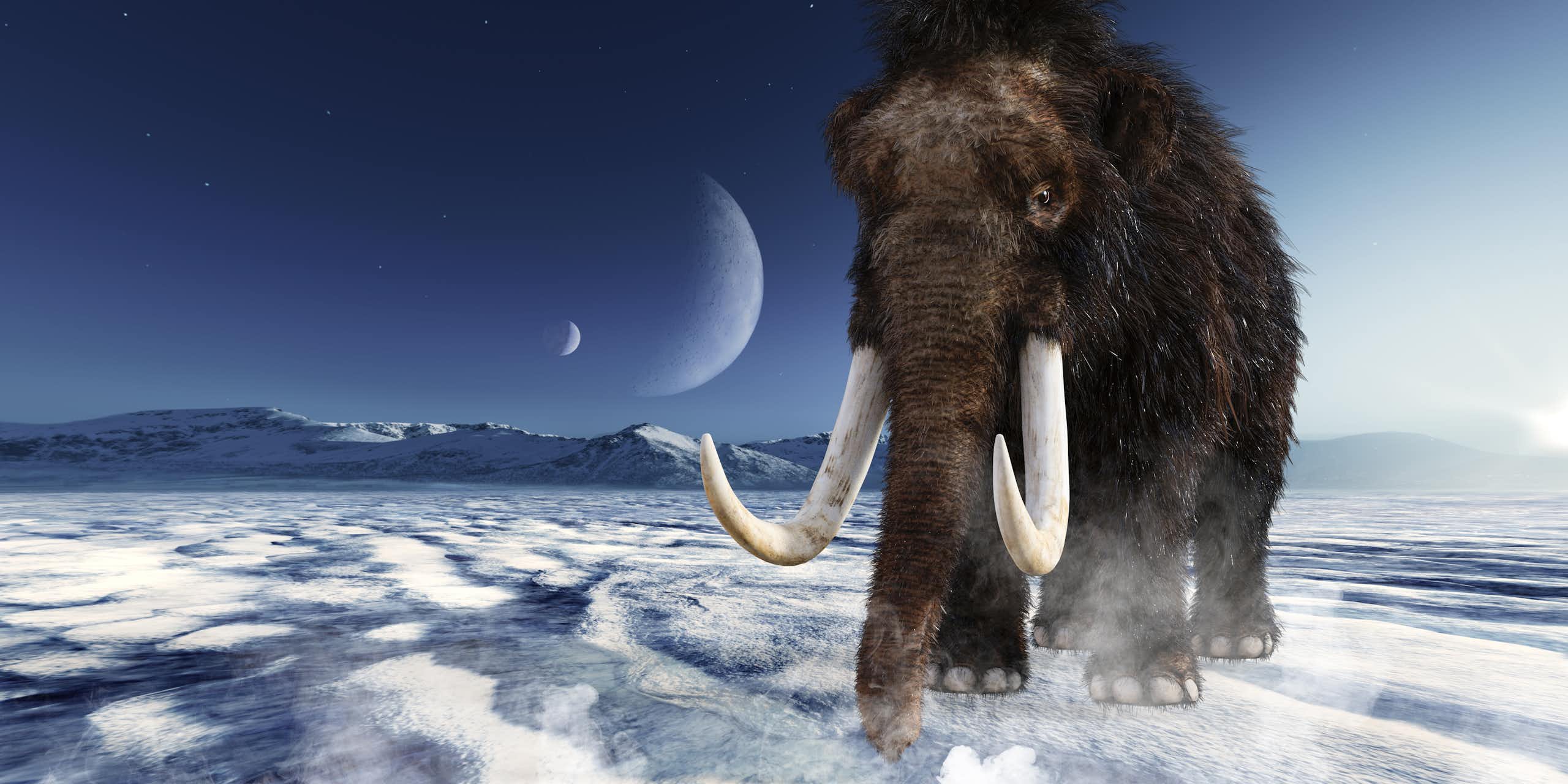 Illustration of a mammoth walking on ice.