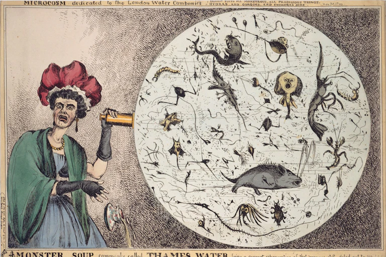 A cartoon with a woman dropping her tea cup and looking horrified after peering through a microscope