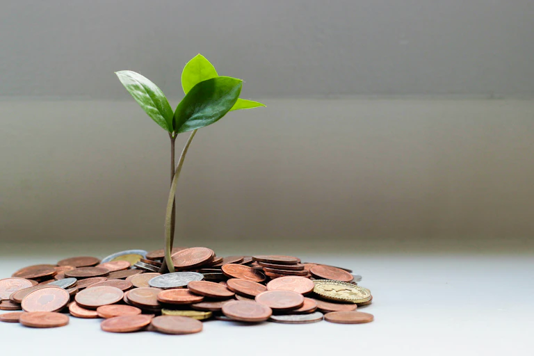 Une plante qui semble pousser sur un sol fait de pièces de monnaie