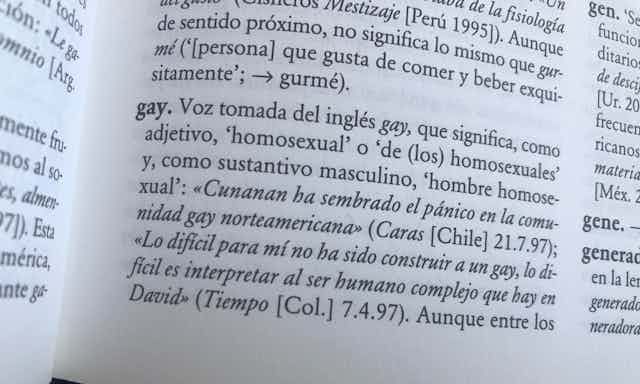 Definición de la palabra 'gay' según el 'Diccionario panhispánico de dudas de la Real Academia Española'.