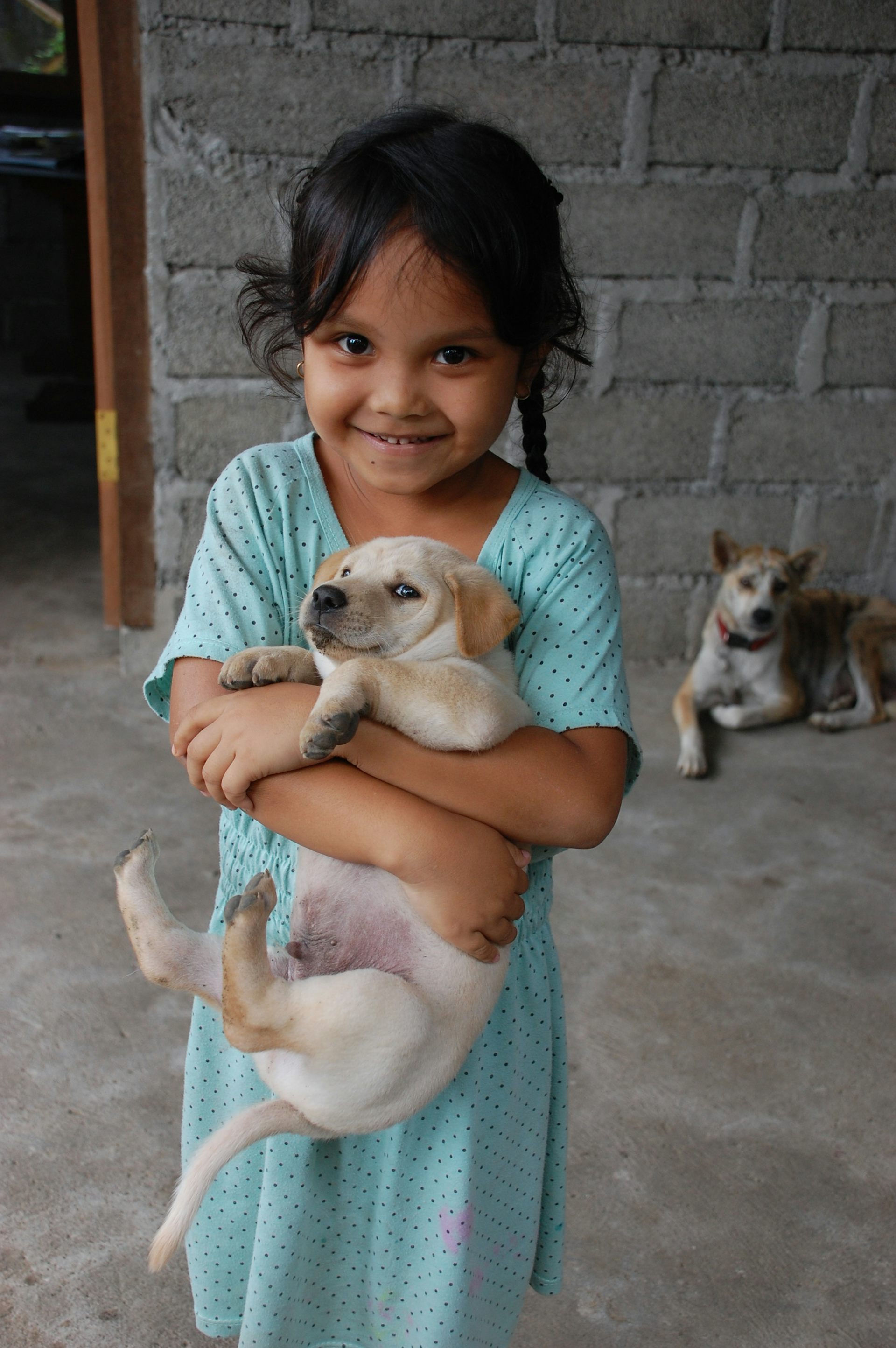 Rabies a global killer that dog jabs can eliminate