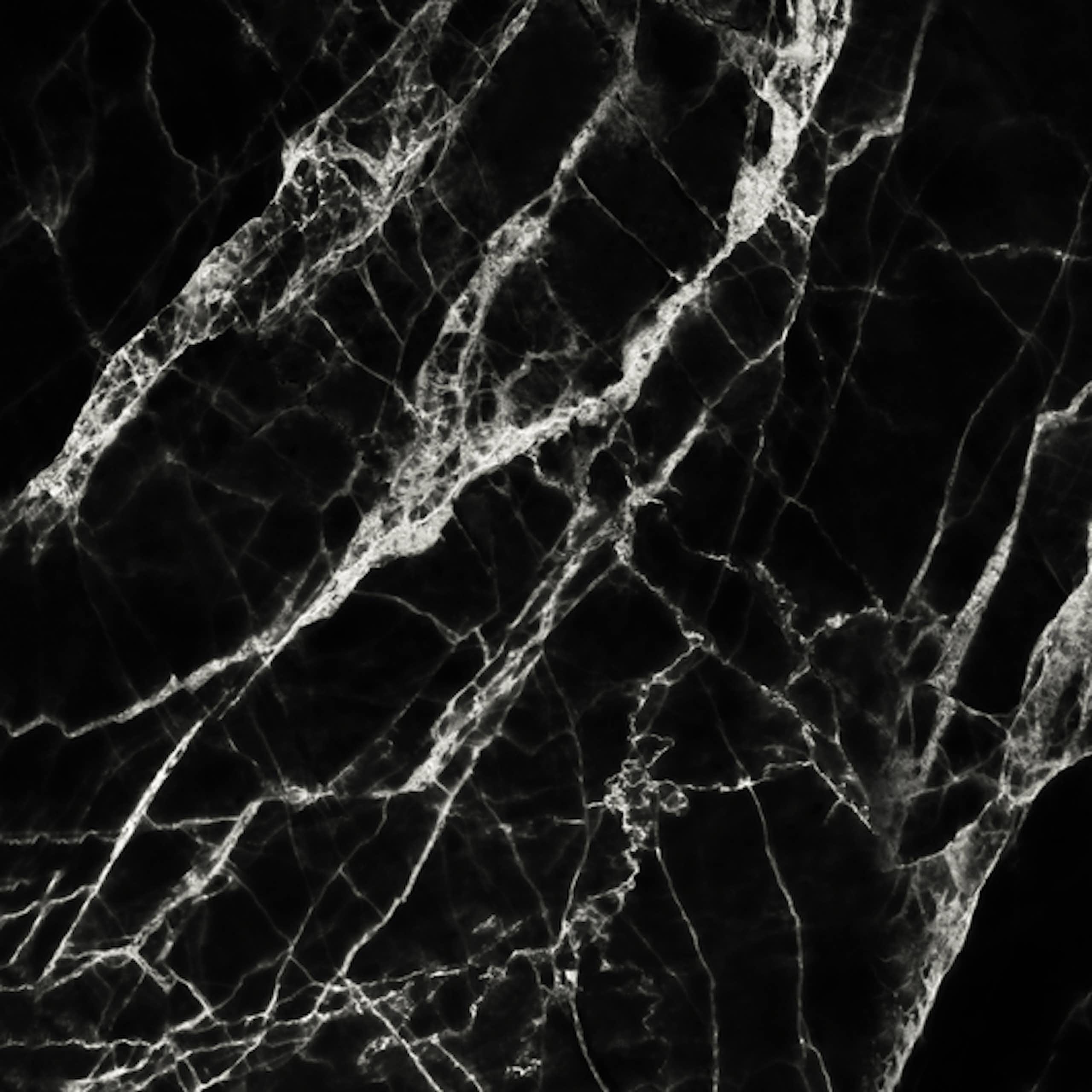 Black marble with white veining