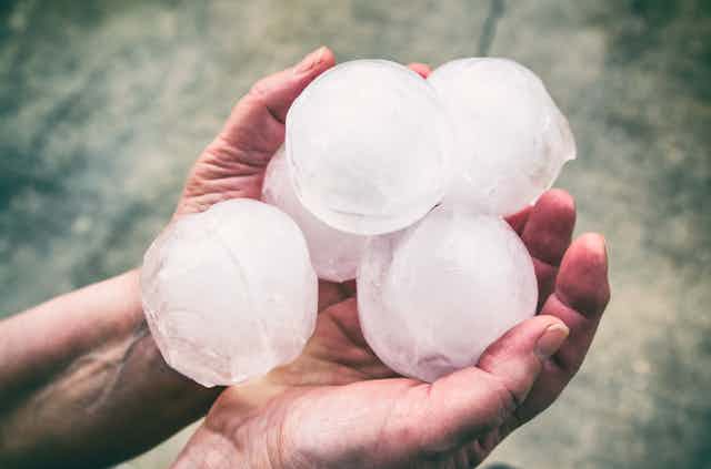 A person holds five baseball-sized hailstones in two hands.