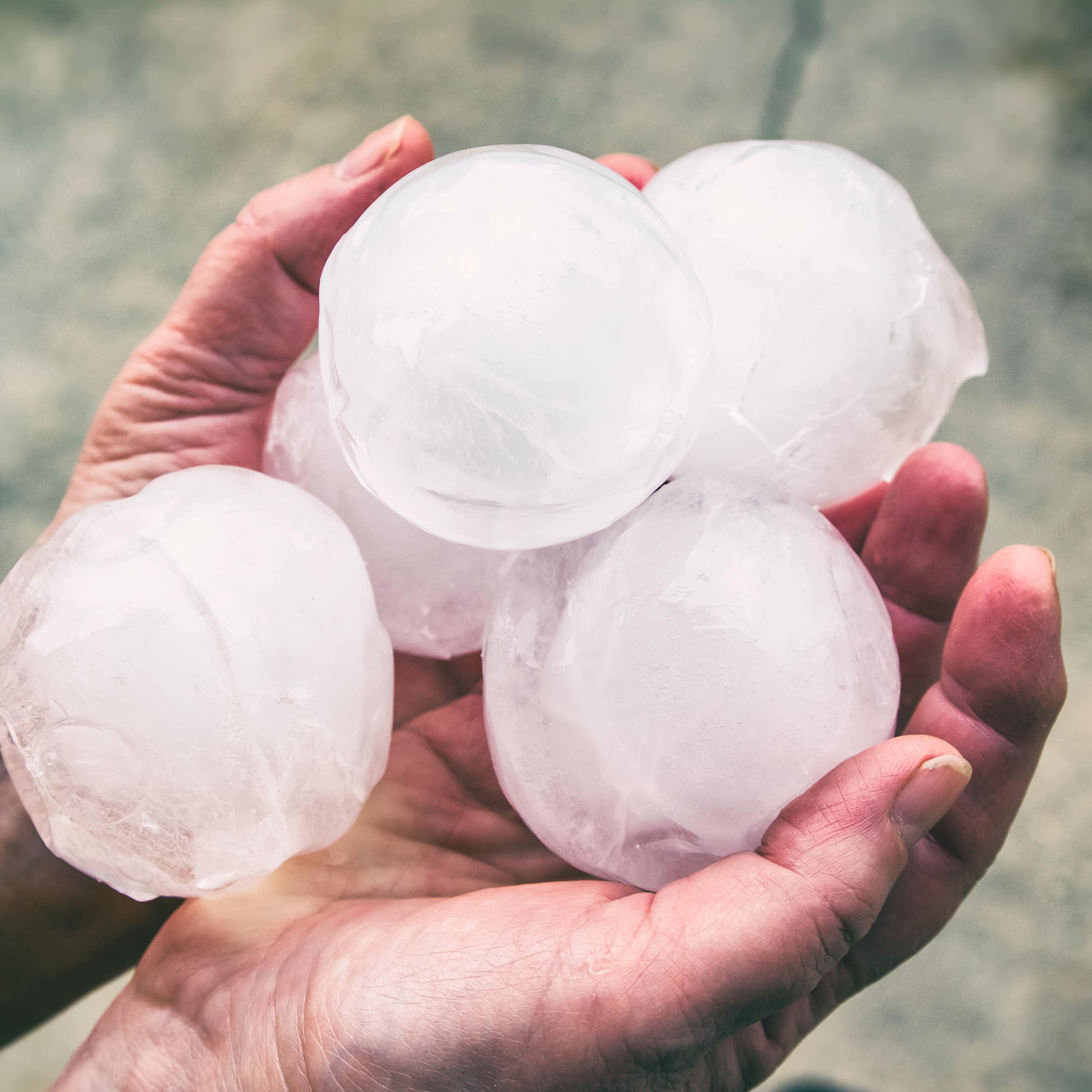 A person holds five baseball-sized hailstones in two hands.