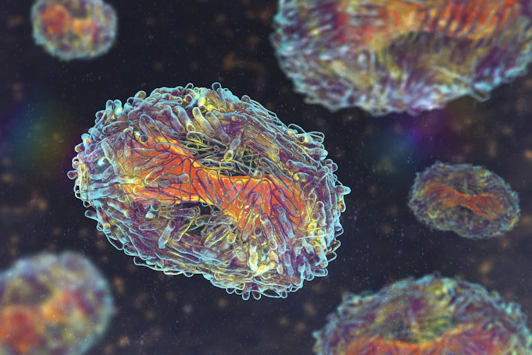 A visual depiction of the mpox virus