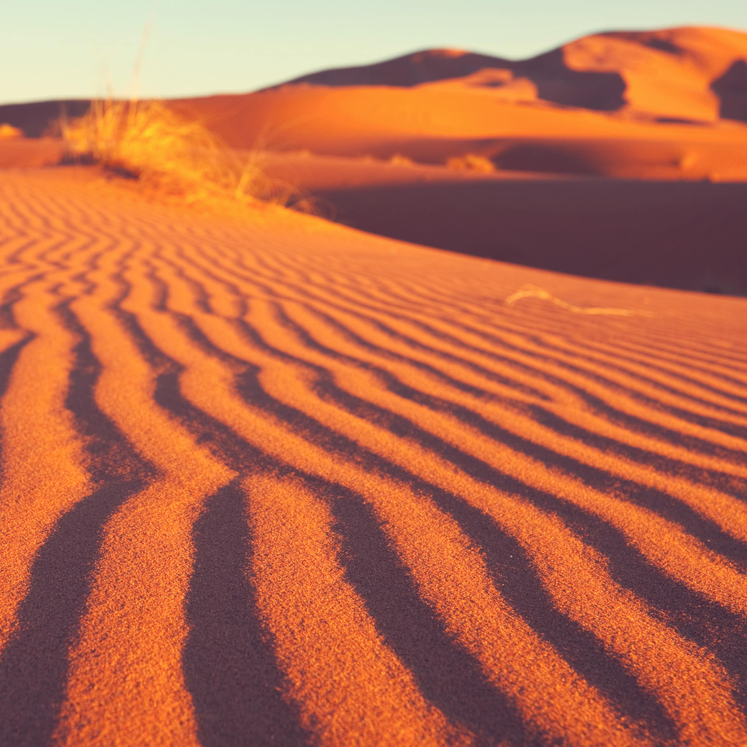 red sandy desert scene