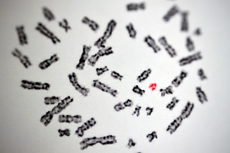 Foto de microscópio mostrando vários fragmentos pequenos de uma dupla hélice de DNA