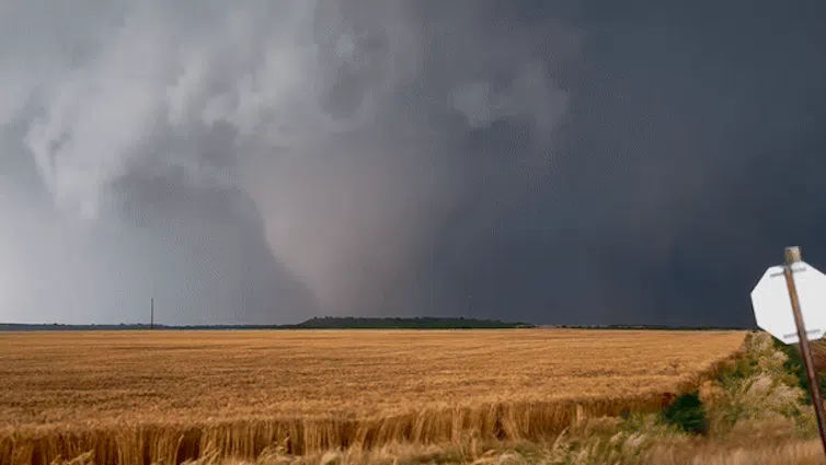A tornado near Duke, Oklahoma, with a wheat field blowing in the foreground.