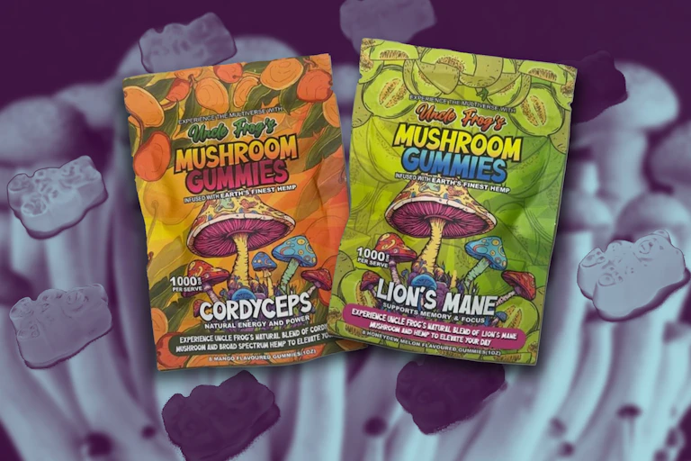 The packets of the mushroom gummies: Cordyceps (left) and Lion's Mane (right).