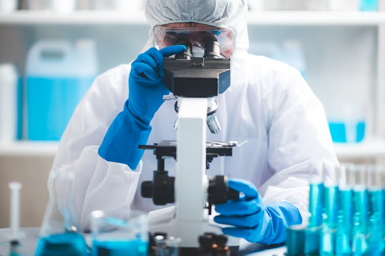 A person examines tissue samples under a microscope.
